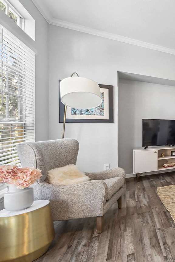 a pug sitting in a blue chair in a living room