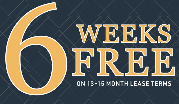 Limited Time Offer!