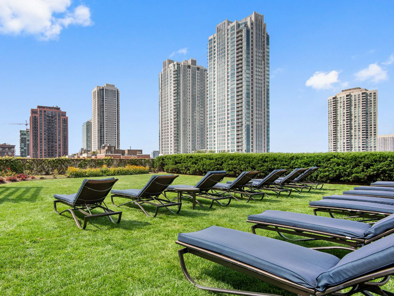 Luxurious rooftop garden with elegant loungers, lush greenery, vibrant flowers, and captivating cityscape views.