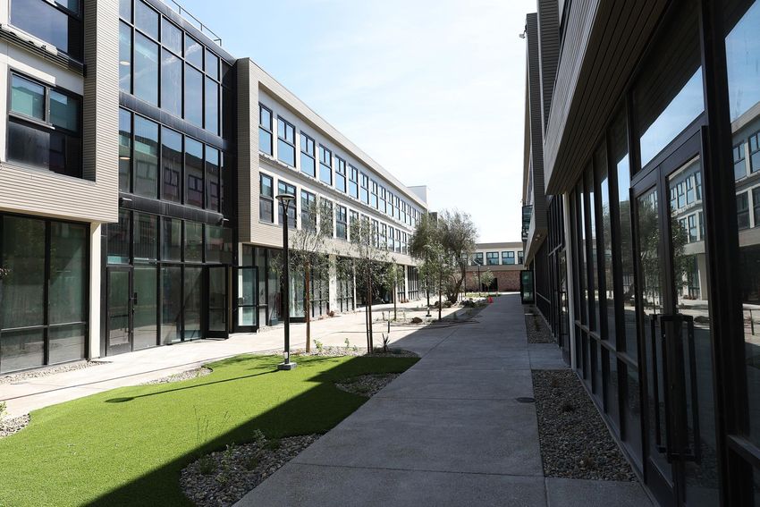 A modern urban courtyard featuring two lines of contemporary buildings with large windows. The pathway is lined with greenery and decorative stones, creating an inviting atmosphere. Sunlight fills the space, highlighting the architectural details of the structures.