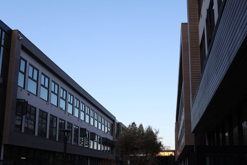 Two modern buildings face each other in a narrow alley, featuring large windows on their facades. The sky above is clear and blue, indicating early morning or late afternoon light. Trees are visible in the foreground, adding a touch of greenery to the urban setting.