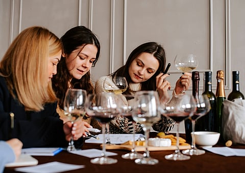 Elegant wine tasting event with friends enjoying wine and cheese in a cozy setting.