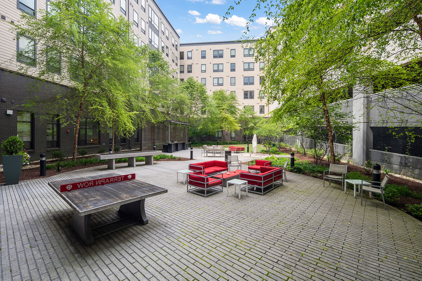 Terrapin Row photo
