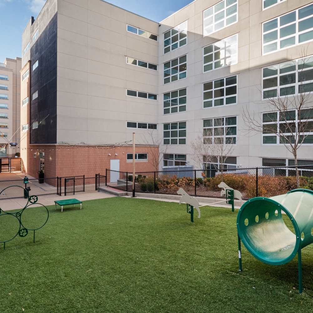 Dog Park at Metropolitan Flats in Saint Louis, Missouri