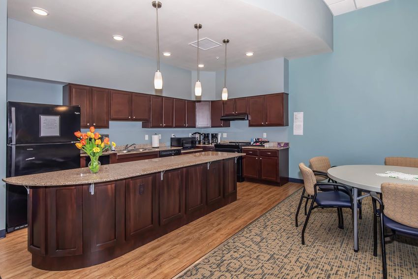 Modern kitchen and dining area with dark wooden cabinetry, a granite countertop, and stainless steel appliances. A vase of tulips decorates the countertop, while a round table with upholstered chairs is positioned in the dining space. The walls are painted a soft blue, enhancing the inviting atmosphere.
