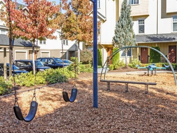 playground