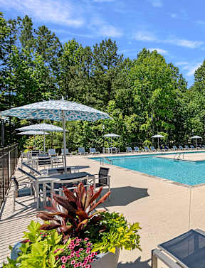 A large swimming pool surrounded by lounge chairs and umbrellas.