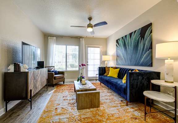 lots of natural light in apartment