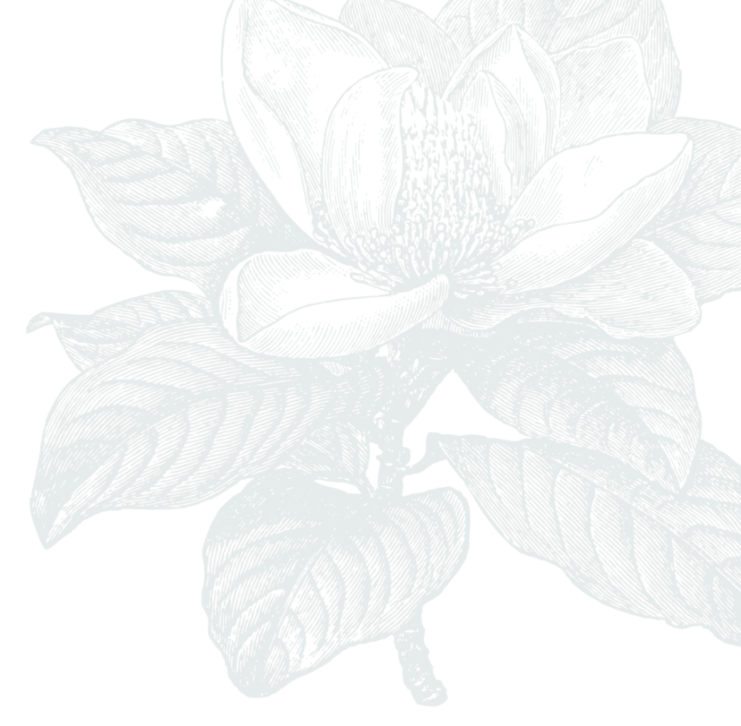 The Magnolia