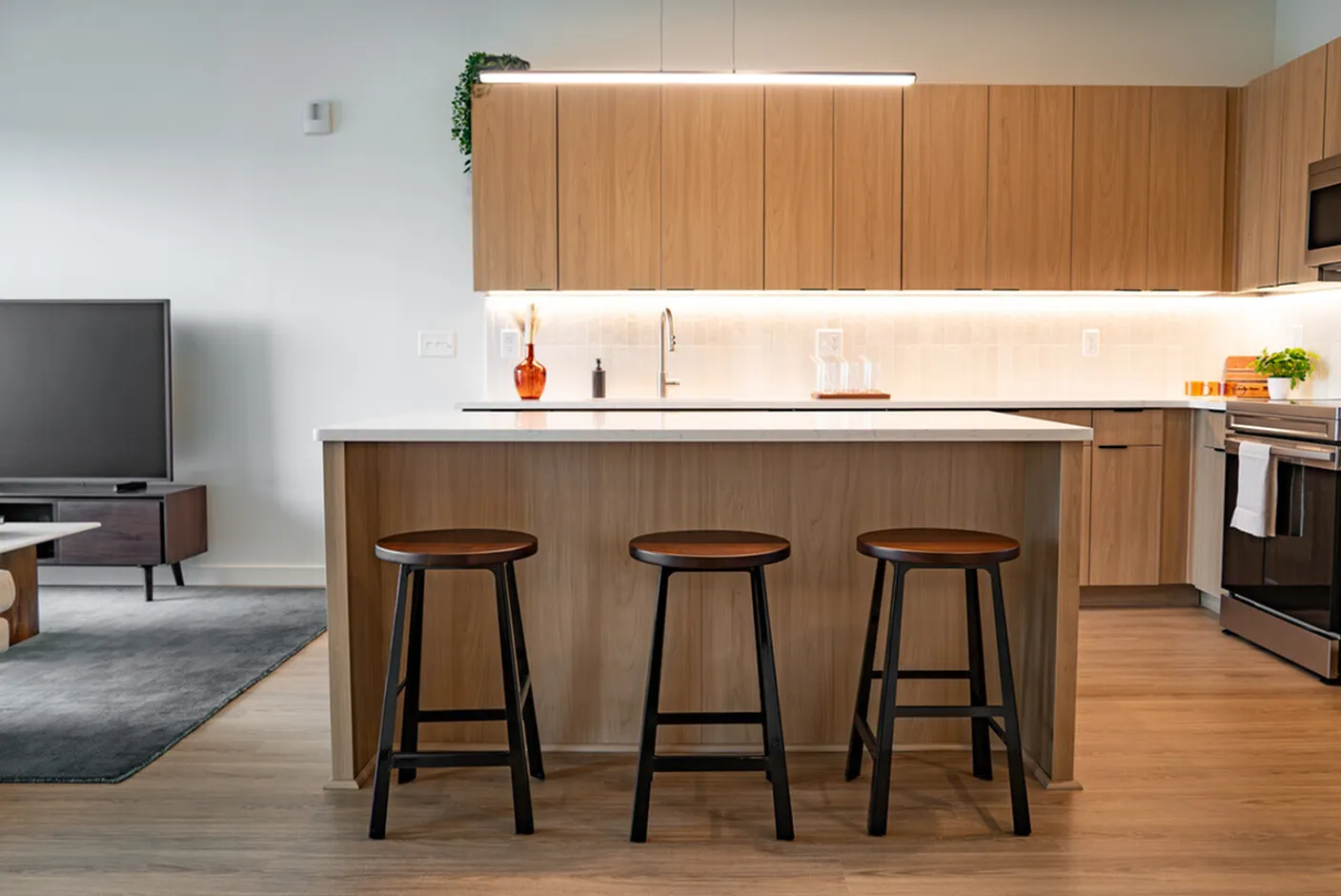 Kitchen with under cabinet lighting