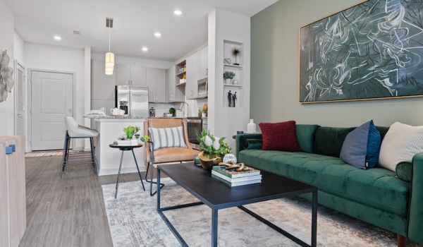 Kitchen and Living Room Space Amelia 