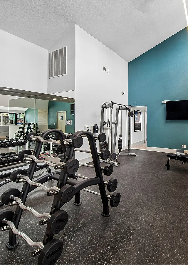 Modern fitness center with high ceilings, featuring state-of-the-art weightlifting equipment, mirrored walls, and a vibrant teal accent wall for an energizing workout atmosphere.