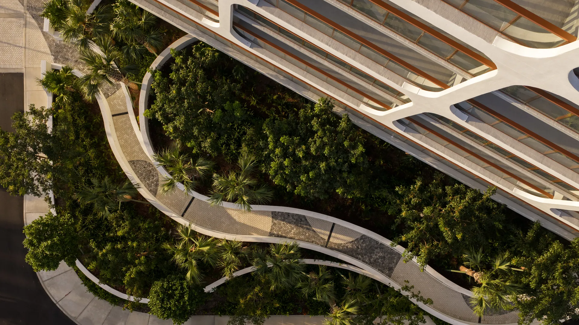 Aerial view of a wavy pathway surrounded by lush greenery.