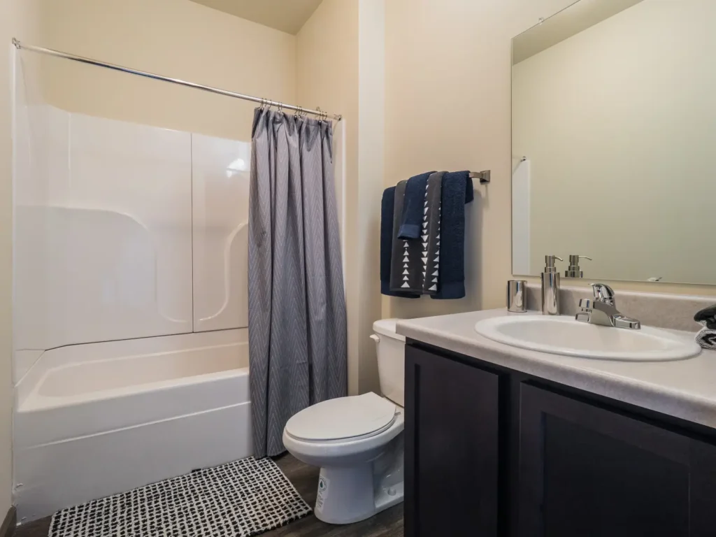 Progress 910 Bathroom 2