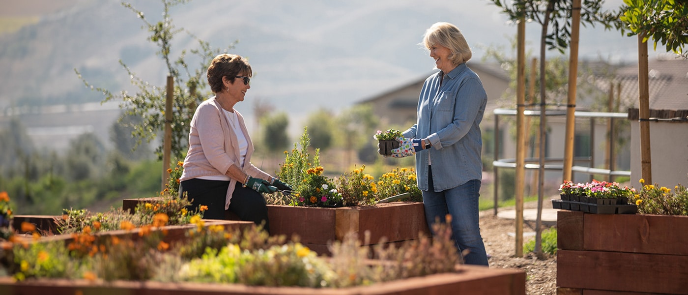 Two women gardening