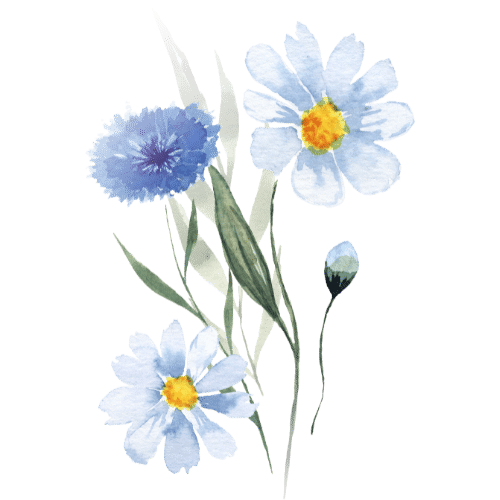 The Stilley House Assisted Living & Memory Care Community photo