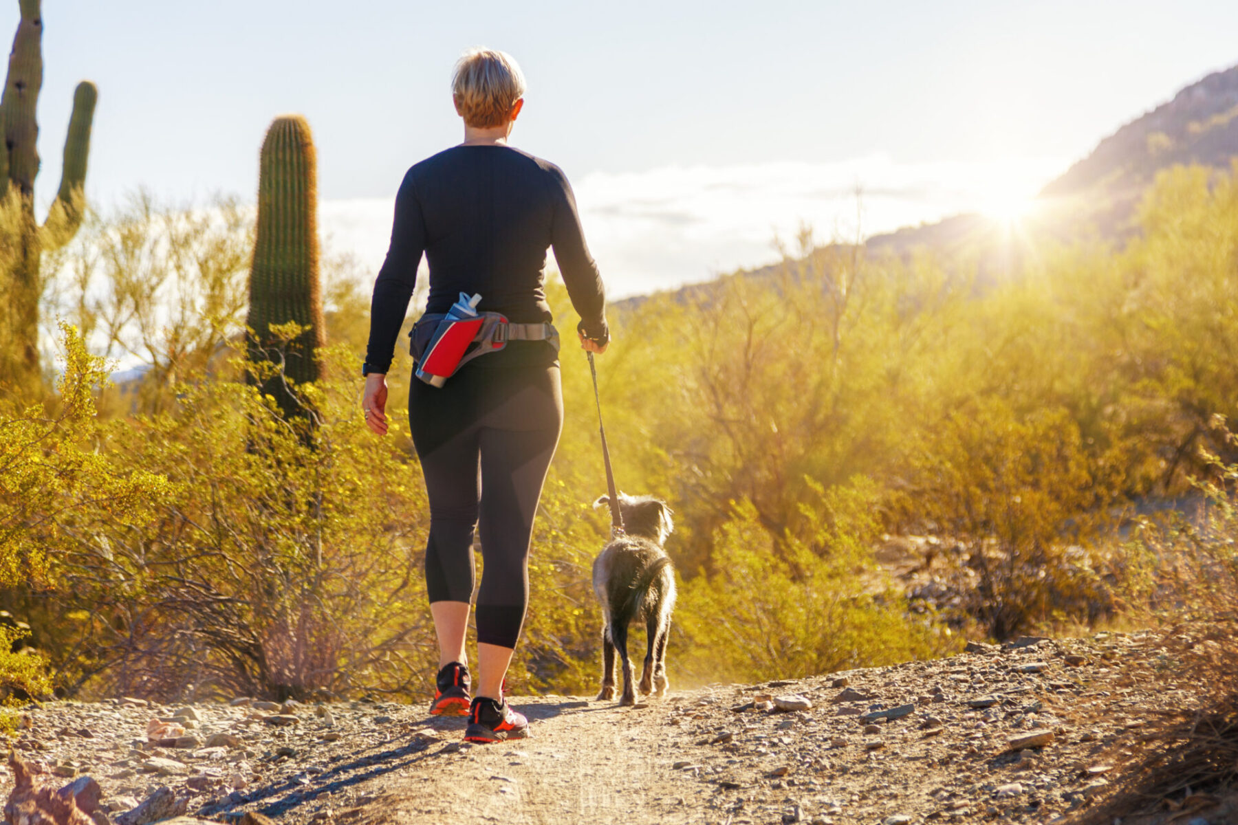 Desert walk near Gilbert Arizona