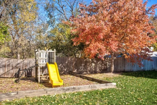 Outdoor picture of playground