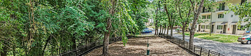 A tree-lined path with a black fence on either side.
