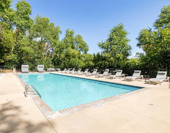 A large swimming pool surrounded by trees and lounge chairs.