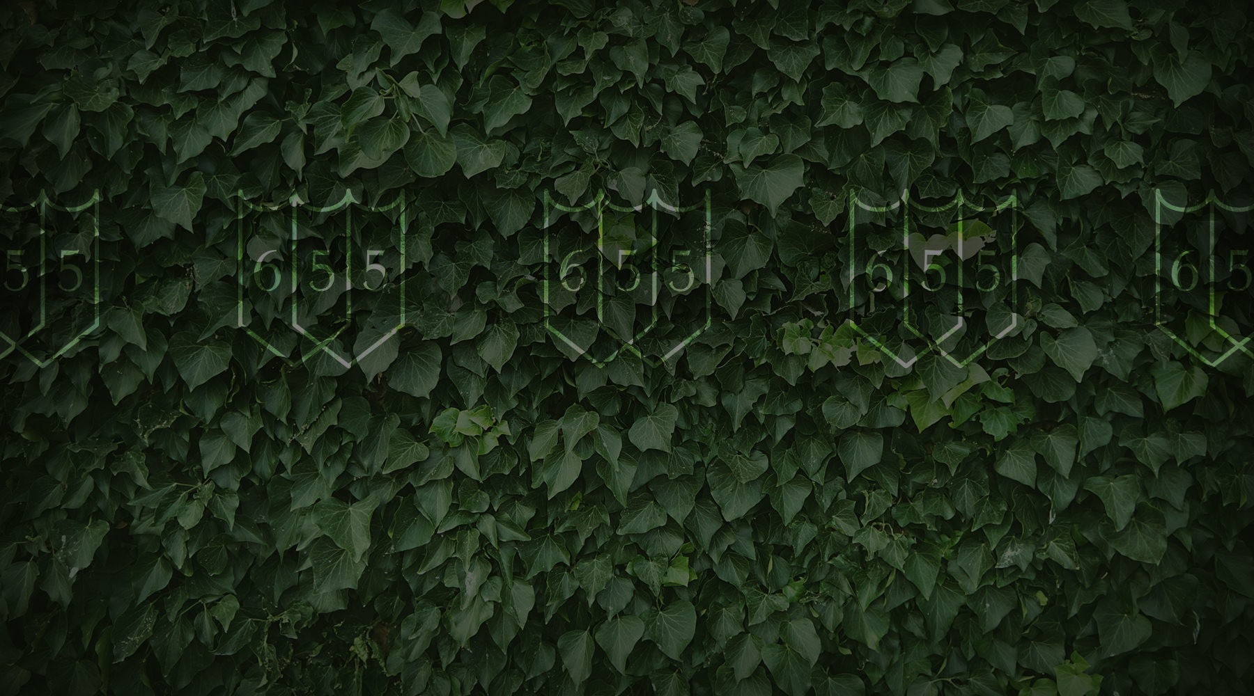 Parallax Image