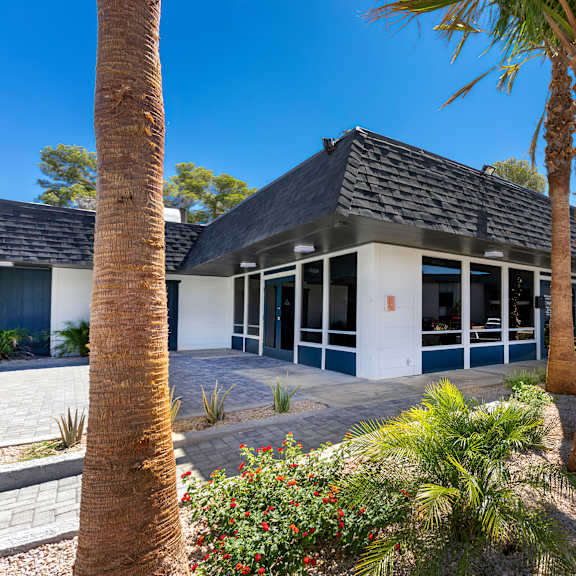 A house with a black roof and white walls is surrounded by palm trees.
