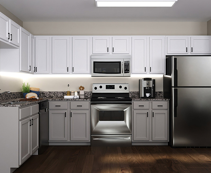 Modern kitchen with sleek stainless steel appliances, granite countertops, and stylish white cabinetry, perfect for contemporary living.