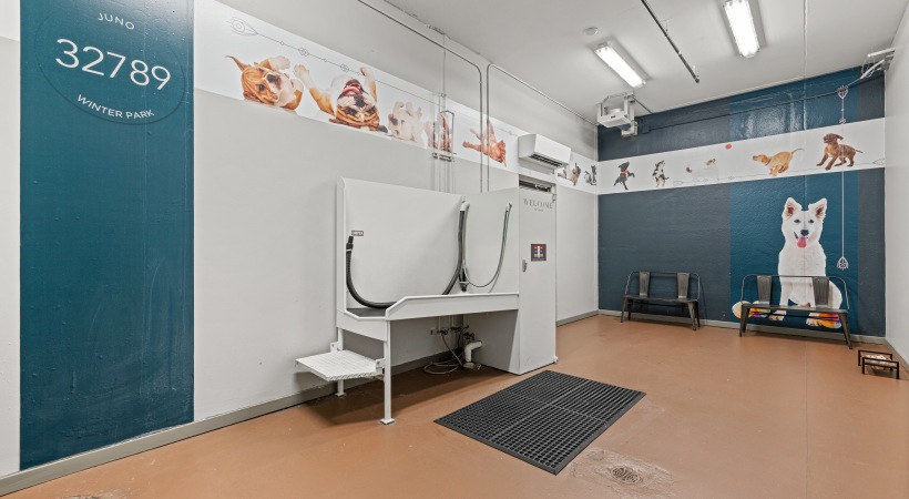 Juno Winter Park pet spa