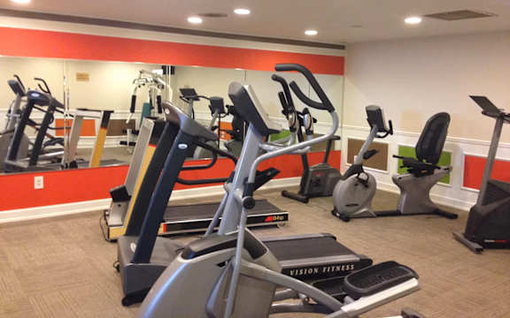 A gym with treadmills and elliptical machines.
