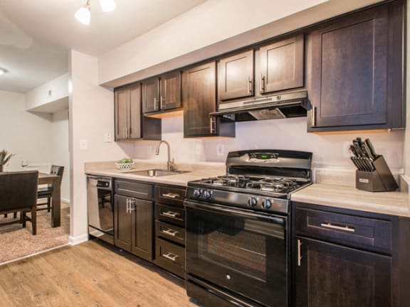 Ample space in kitchen at Brook View Apartments, Maryland, 21209