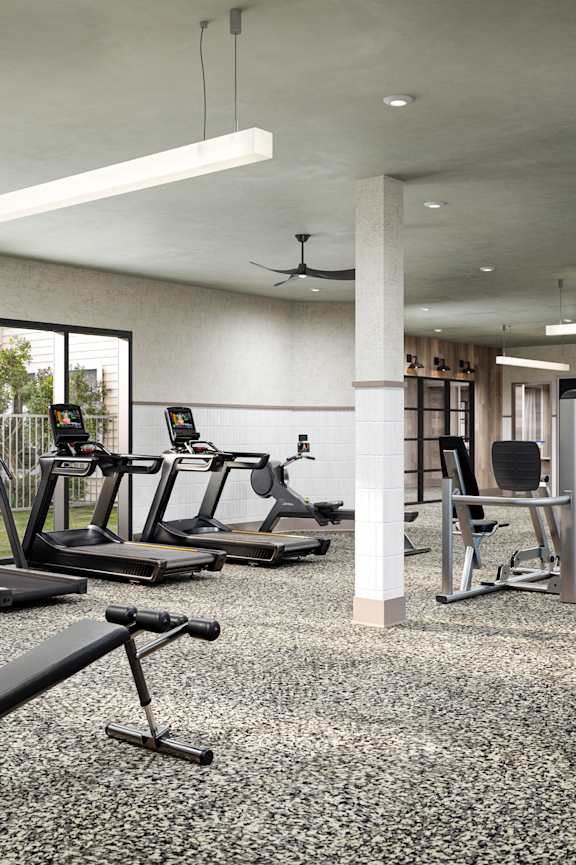 A gym with a variety of equipment including treadmills, weights, and a bench press.