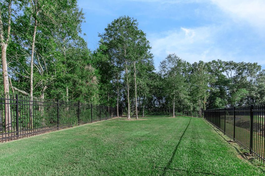 A grassy area bordered by a black metal fence, with several trees on the left and a row of trees in the background. The sky is clear and blue, adding to the serene outdoor setting.