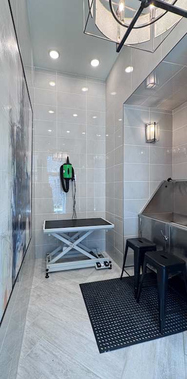 Pet Bath at Ardmore at Prosperity, Knoxville, 37932