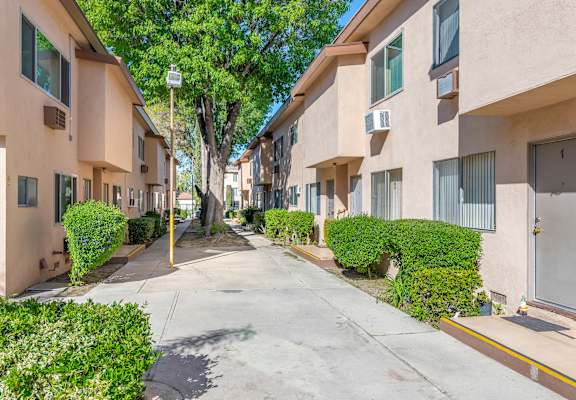 Haskell Palms photo