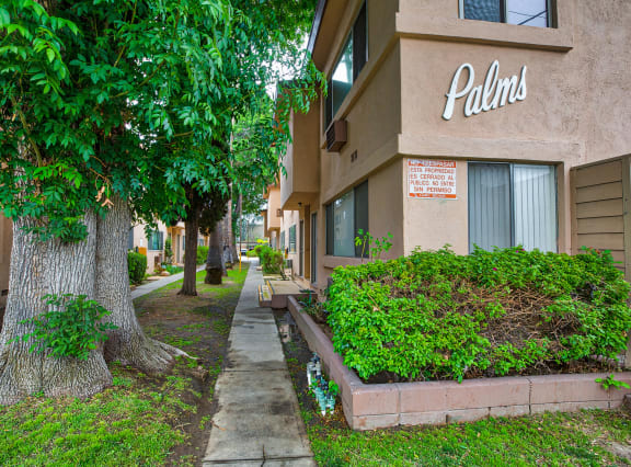 Haskell Palms
