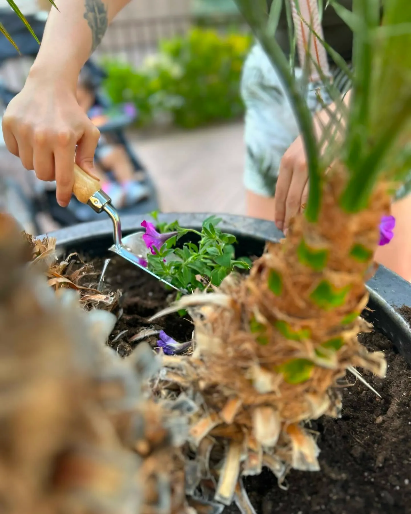 Community gardening