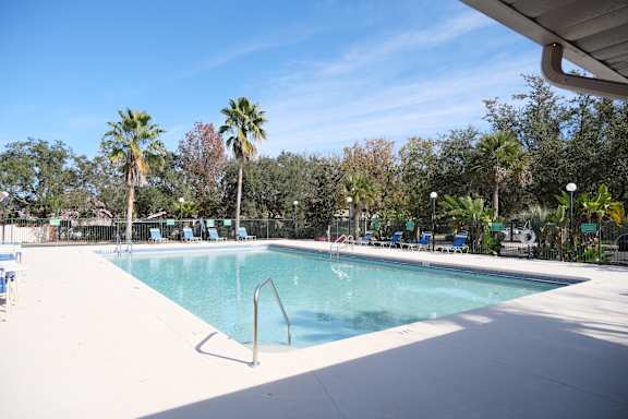 A large swimming pool surrounded by palm trees and blue lounge chairs.