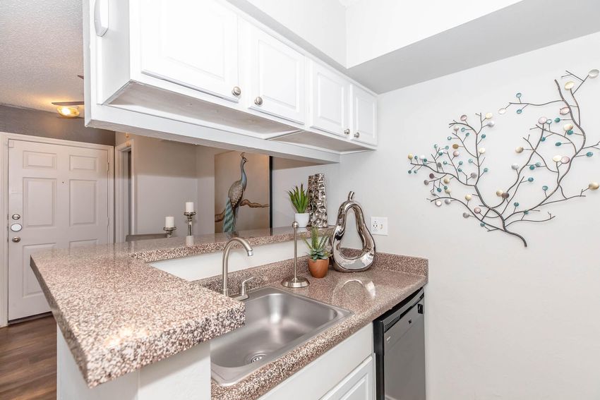 A modern kitchen with a granite countertop and stainless steel sink. Above the sink, there are white cabinets and decorative wall art featuring a floral design. A potted plant sits next to the sink, and a framed image of a heron is visible in the background. The entry door is partially shown on the left.