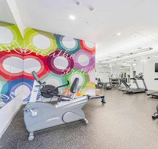 A gym with a row of exercise bikes and a television.