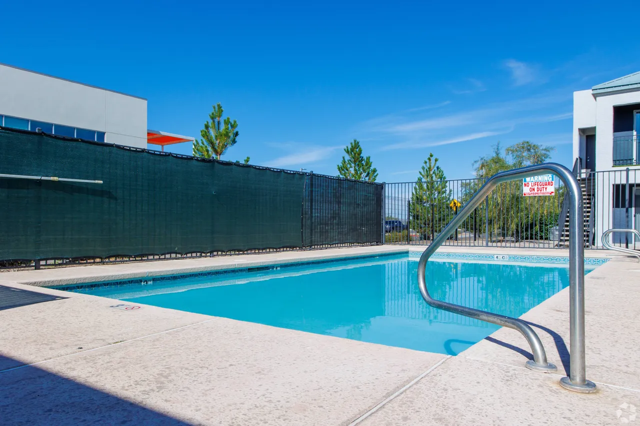 Shimmering Swimming Pool