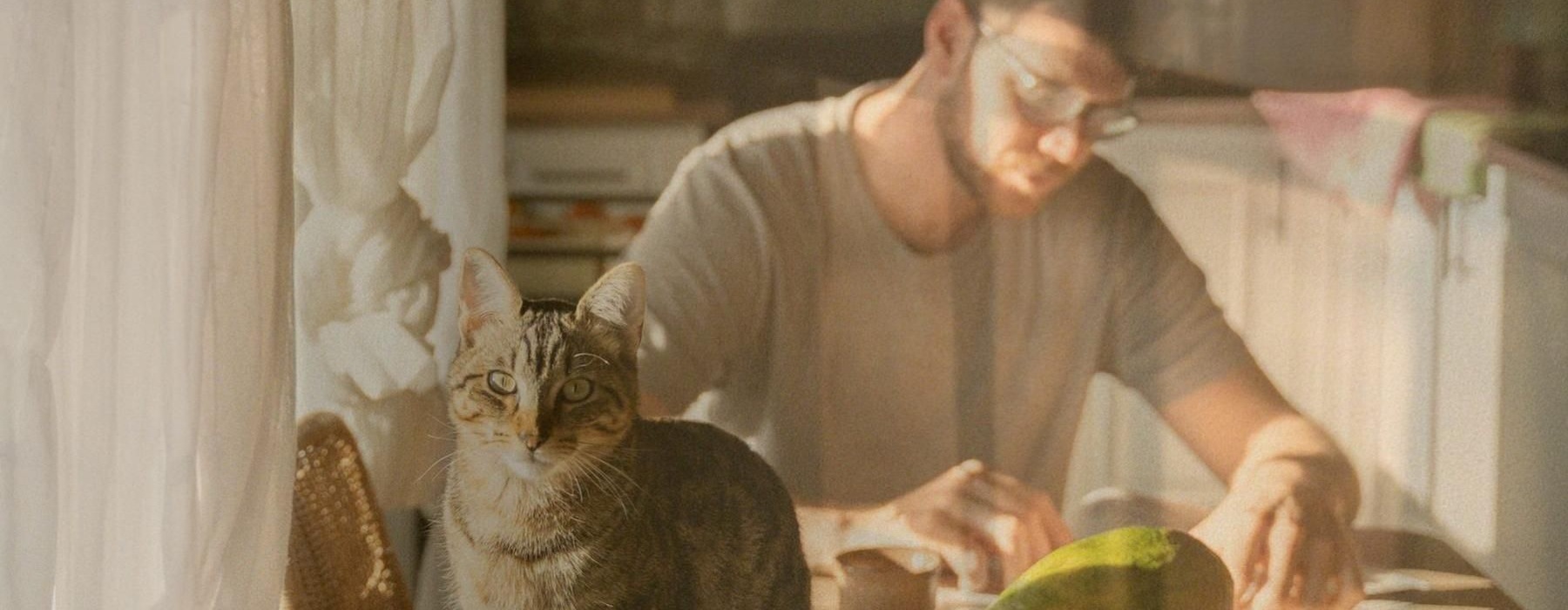 a man sitting at a table with a cat
