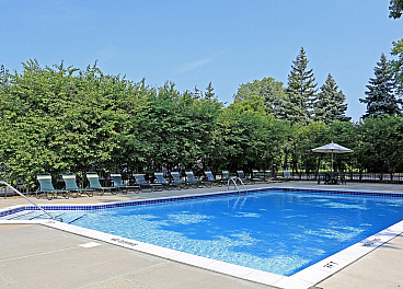 Inviting outdoor swimming pool surrounded by lush greenery and sun loungers, perfect for relaxation and leisure.