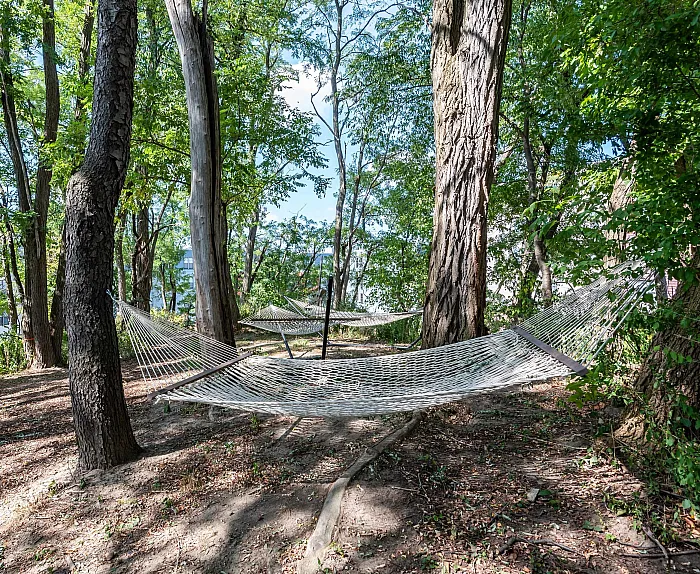 Hammocks in Woods