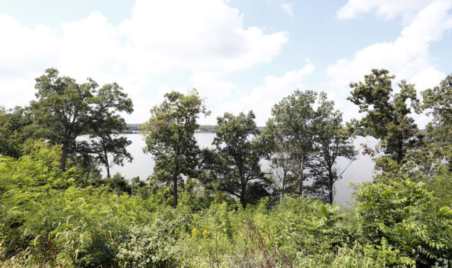 Waterview Estates photo