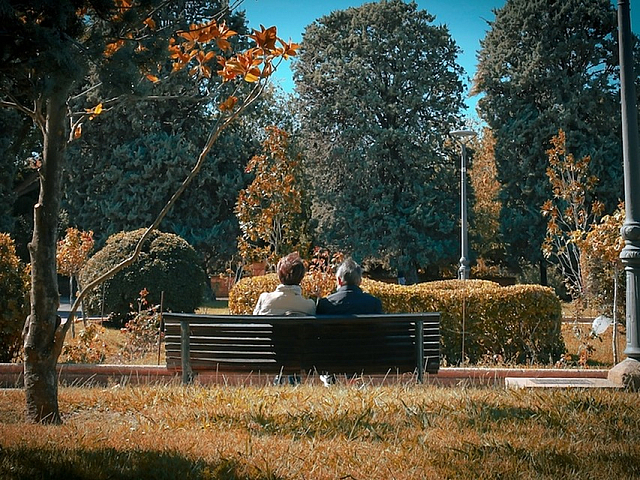 Tranquil park scene with a couple sitting on a bench, surrounded by lush greenery and mature trees under a clear blue sky.