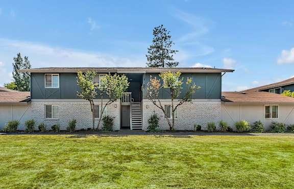 A modern house with a grey facade and a tree in front.
