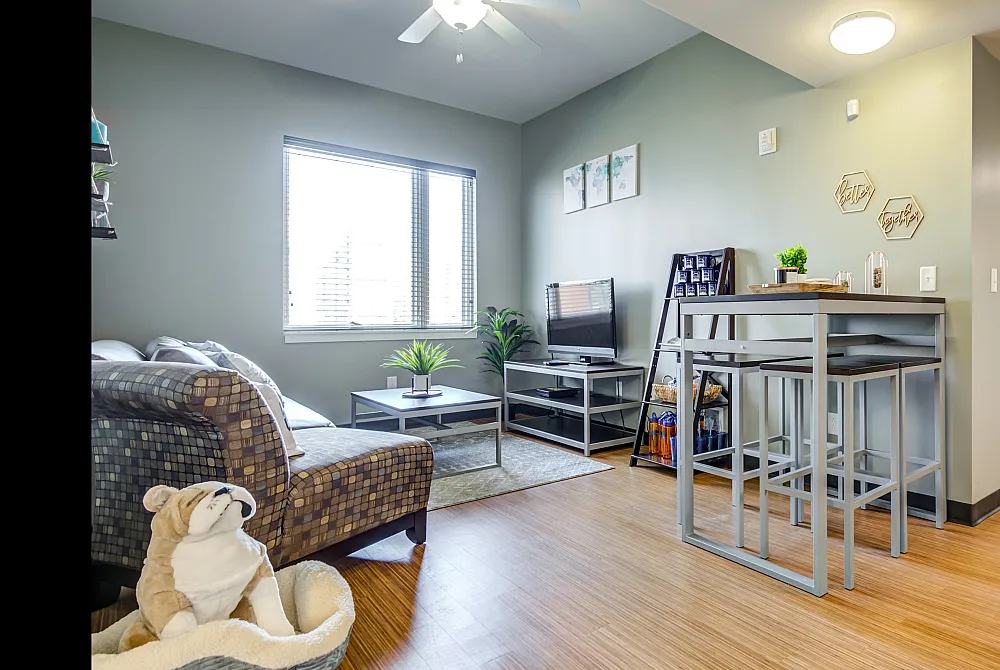 Model apartment living room