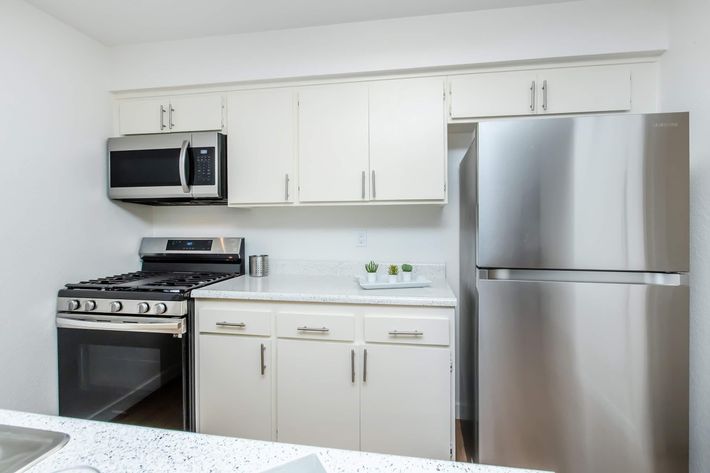 Modern kitchen featuring stainless steel appliances, including a gas stove, microwave, and refrigerator. The cabinets are a light color, and the countertop is white with subtle speckles. A tray with small decorative plants sits on the counter, adding a touch of greenery to the space.
