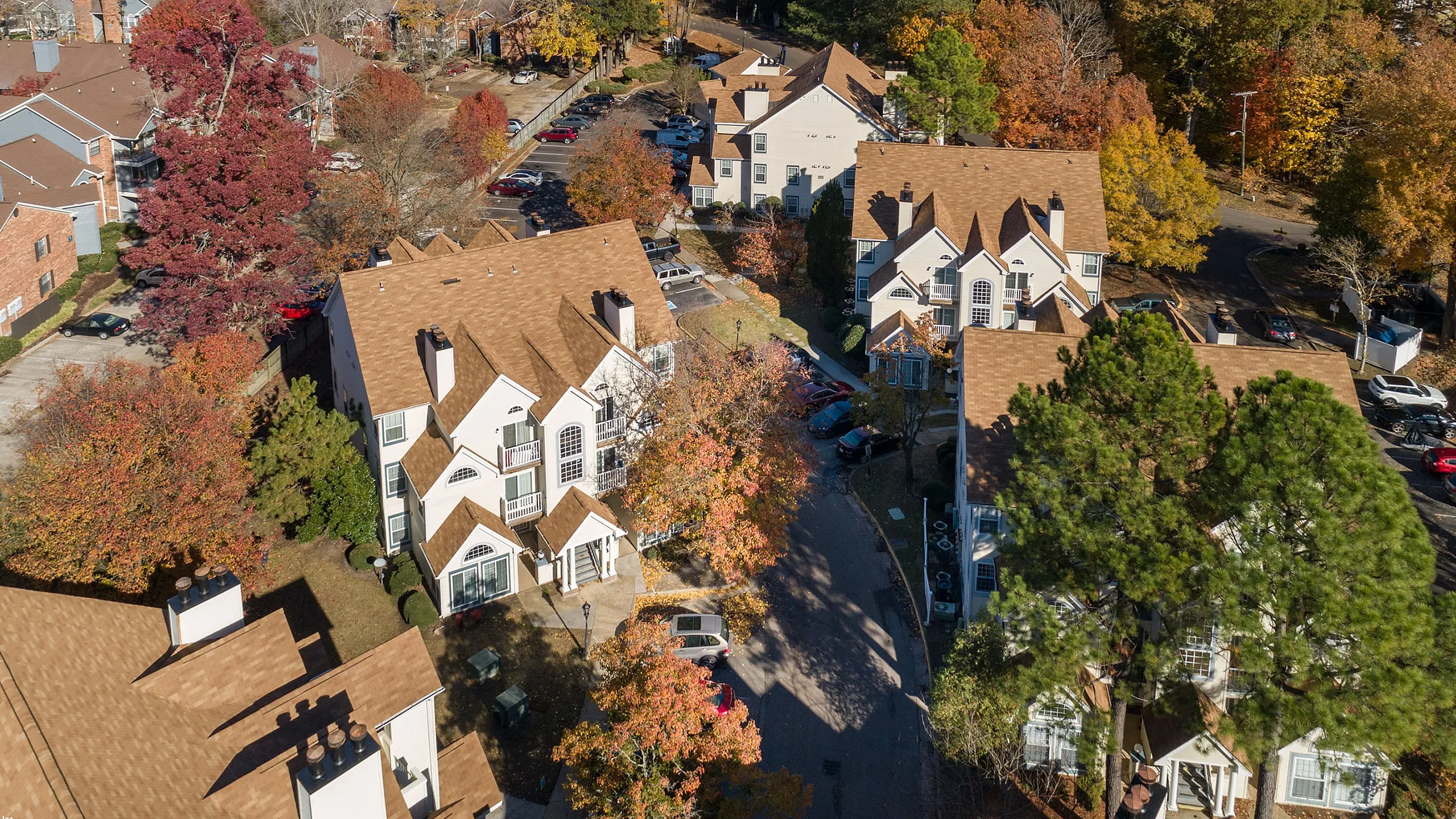 renew newport news aerial