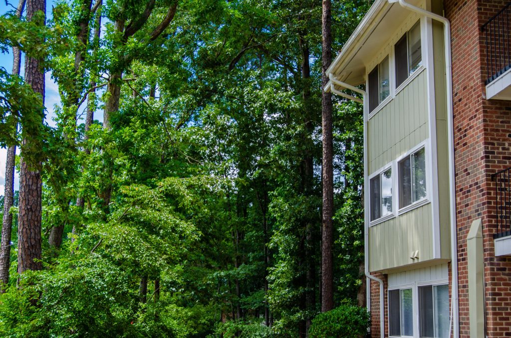 Chatham Forest Apartments & Townhomes photo